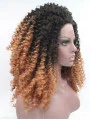16 inch Kinky Ombre/2 Tone Without Bangs Synthetic Long Lace Front Wigs
