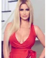 Lace Front Long Layered Synthetic 27 inch Blonde Straight Kim Zolciak Wigs