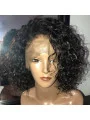 Short Lace Front Human Hair Wigs With Baby Hair Pre Plucked Brazilian Remy Lace Front Wigs