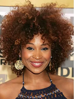 Super Charming Short Kinky Brown African American Wigs for Women