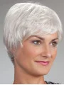 Short Monofilament Synthetic Straight Wigs For Elderly Lady