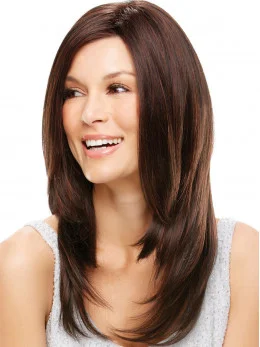20 inch Straight Lace Front Brown Synthetic Long wigs
